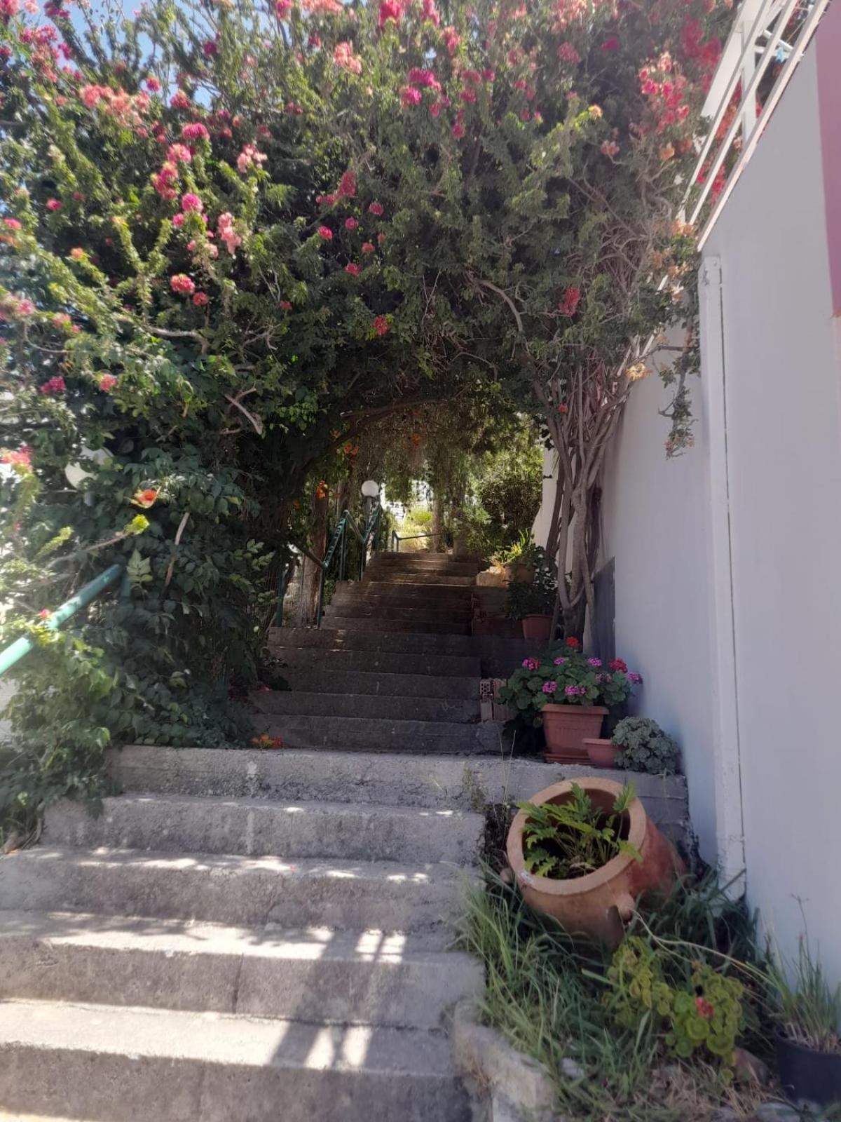 Camelia Apartment Plakias Exterior photo