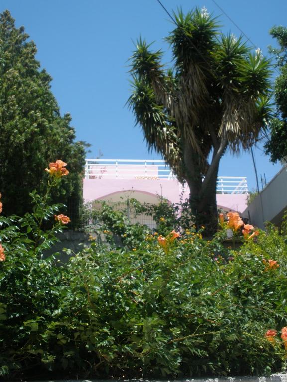 Camelia Apartment Plakias Exterior photo
