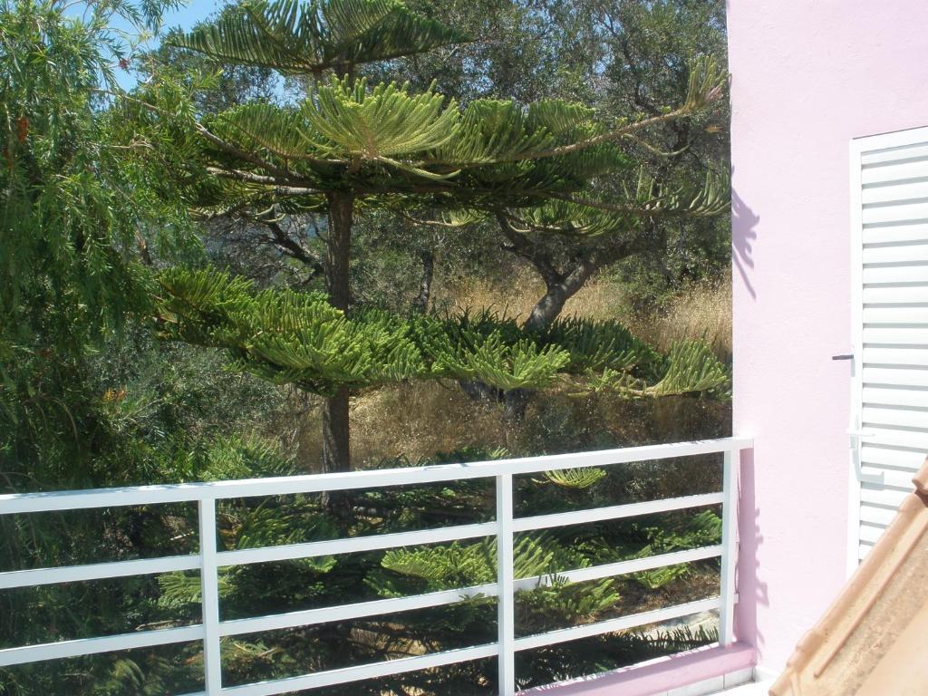 Camelia Apartment Plakias Exterior photo